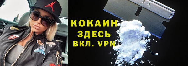 ПСИЛОЦИБИНОВЫЕ ГРИБЫ Абаза