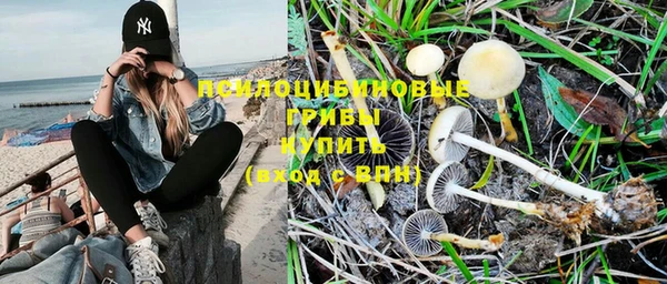 дурь Михайловск
