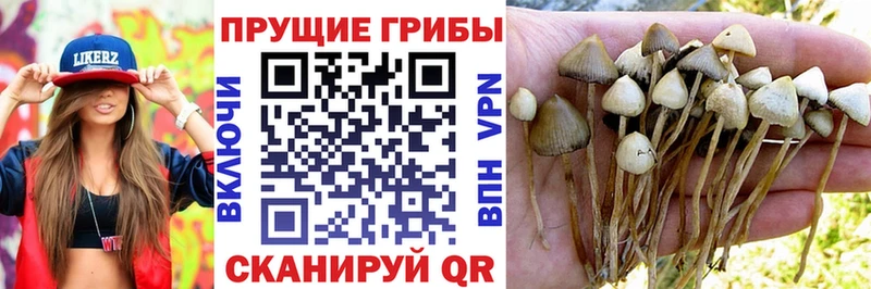 Галлюциногенные грибы мухоморы  Юрюзань 